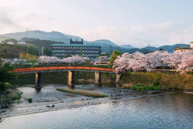 Nehir boyunca uzanan kırmızı köprü ve Japonya 'nın başkenti Saga, Kyushu' daki Ureshino onsen parkındaki kaplıcada çiçek açan sıcak bahar oteli. Kaplıcalarda kaplıcalara ünlü bir seyahat yeri..