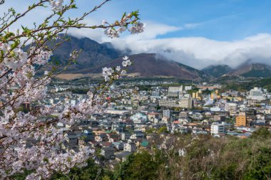 Sakura kiraz ağacı çiçek açmış Yukemuri Gözlemevi 'nde Beppu şehir manzaralı, Oita, Kyushu, Japonya. Gökyüzü manzarası için ünlü bir seyahat yeri..