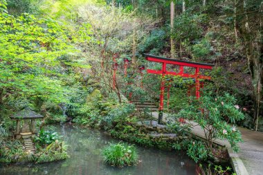 Bahar mevsiminde Nanzoin Tapınağı 'nın güzel bahçesindeki Torii kapısı Sasaguri, Fukuoka, Kyushu, Japonya. En büyük uzanan Buda heykelini ziyaret etmek için ünlü seyahat yeri..