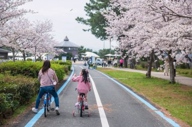 İlkbaharda Uminonakamichi Sahil Parkı, Fukuoka, Kyushu, Japonya 'da kiraz çiçeğinde bisiklet ya da sakura ağacı çiçek açar. Eğlence parkını, havuzu, mevsimlik çiçekleri ziyaret etmek için ünlü seyahat yeri