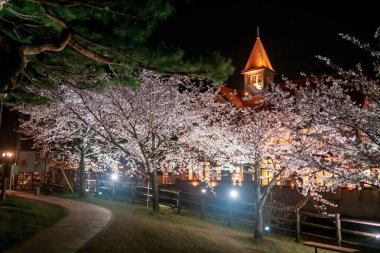 Sakura ağacının kiraz çiçekleri parlıyor ve Siebold 'un Ureshino onsen parkında Yu manzarası yok. Geceleri Saga, Kyushu, Japonya. Spa onsen kaplıcalarının ünlü seyahat yeri.