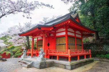 İlkbaharda güzel beyaz sakura çiçekleriyle Yutoku Inari Müzesi, Kashima, Saga, Japonya, Japonya. İşte Kyoto Fushimi Inari ve Aichi Toyokawa ile ünlü Inari türbeleri..