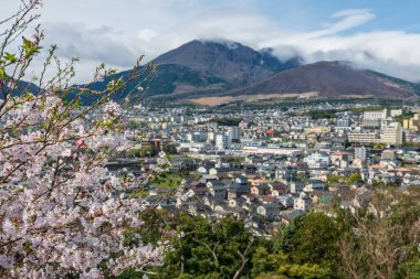 Yukemuri Gözlemevi 'nde, Beppu şehir manzaralı beyaz kiraz çiçeği Oita, Kyushu, Japonya. Gökyüzü manzarası için ünlü bir seyahat yeri..
