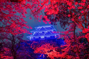 Cherry sakura blossom with red light up and Fukuoka Castle ruins blue Illusions at Maizuru park, Fukuoka, Kyushu, Japan. Famous travel destination for Illumination garden at night in spring season. clipart