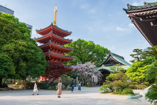 stock image Japanese people visit Tochoji temple pagoda with cherry blossom of sakura tree in spring, Fukuoka, Kyushu, Japan. Famous travel destination to view beautiful Buddhist architecture at Hakata town area.