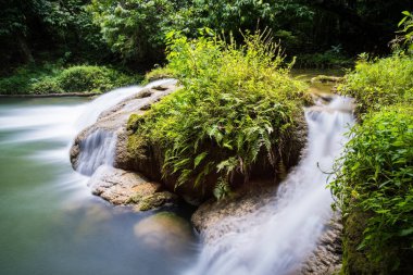 Tayland dilinde Jed Sao Noi ya da Küçük Yedi denen kız Tayland, Saraburi 'deki yağmur ormanlarında hareket suyu ve yeşil bitkiyle çağlayan akarsu. Siyam 'daki ünlü doğal seyahat merkezi..
