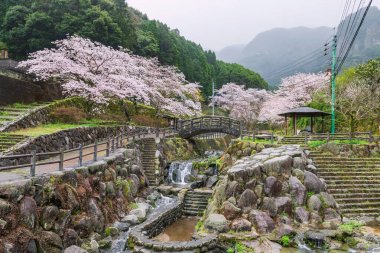 Japonya, Imari, Saga 'daki Okawachiyama köyünde şelale suyu ve pembe kiraz çiçeği tüneliyle park edin. Gizli çömlek fırınlarının köyü için ünlü bir seyahat merkezi..