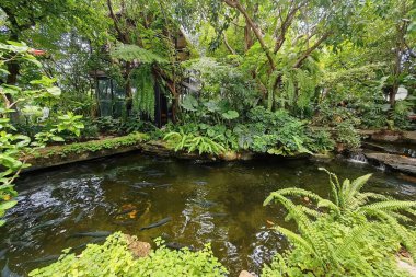 Lüks kafenin ve restoranın güzel bahçesinde gölde balık. Yeşillik ve atmosferde rahatla.