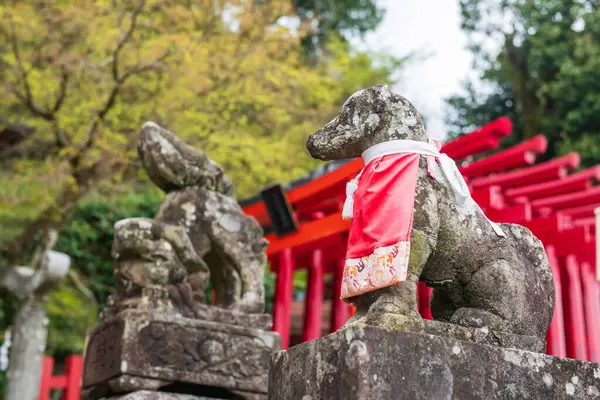 stock image Fox statue at Torii red wood gates of Yutoku Inari Shrine at spring, Kashima, Saga, Japan. Here is famous Inari shrines alongside Fushimi Inari in Kyoto and Toyokawa Inari in Aichi.