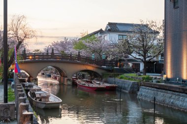 tourist boats and cherry blossom tunnel at bridge to Mihashira Shrine along Suigo river at sunset, Yanagawa, Fukuoka, Kyushu, Japan. Famous travel destination to cruising and sightseeing along river. clipart