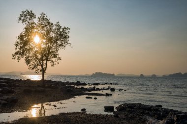 Tayland, Krabi 'deki Koh Kwang Adası' nda gün batımında sahilde siluet ağacı ve taş kemer. Siyam 'da yaz tatili için ünlü seyahat beldesi.