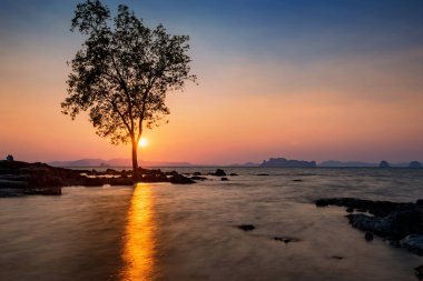 Tayland, Krabi 'deki Koh Kwang Adası' nda gün batımında taş kemer kenarında siluet çifti ve tek bir ağaç. Siyam 'da yaz tatili için ünlü seyahat yeri. Hareket dalgası deniz manzarası..