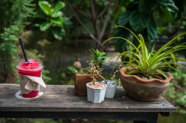 Tahta masada taze karpuz suyu, açık hava kafe ve restoran saksısı..