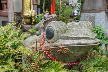 Japonya, Ogori 'deki Nyoirinji Tapınağı' nda kurbağa ailesinin taş heykelleri. Burası Kaeru Dera olarak bilinen kurbağa heykeliyle ünlü, resmi adı ise Seieizan Nyoirin-ji..