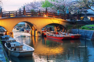 Tourist boats at Suigo river and cherry blossom tunner behind bridge to Mihashira Shrine at sunset, Yanagawa, Fukuoka, Kyushu, Japan. Famous travel destination to cruising and sightseeing along river. clipart