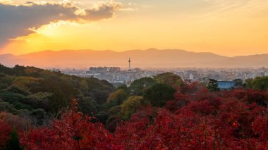 Kyoto Kulesi 'nin manzarası ve sonbaharda Japonya' nın Kansai kentindeki Kiyomizudera tapınağından kırmızı akçaağaç yapraklı şehir manzarası. Sonbaharda ünlü seyahat yeri.