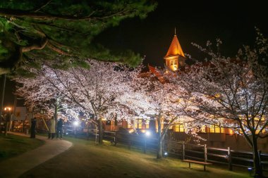 İnsanlar Ureshino 'daki Ureshino parkında geceleri Saga, Kyushu, Japonya' daki Siebold no Yu manzaralı kiraz ağacı tünelinde yürüyorlar. Kaplıcalarda kaplıcalara ünlü bir seyahat yeri..