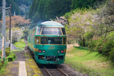  Yufuin No Mori treni, ilkbaharda kiraz çiçeğiyle Bungo Nakagawa İstasyonu 'ndan geçecek. Hakata Fukuoka istasyonundan Oita ve Beppu 'ya motor nakli.