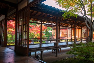 Kyoto, Japonya 'daki Kenninji tapınağının renkli yapraklı ahşap geçidi. Özellikle sonbahar mevsiminde Kansai 'de ünlü bir tatil beldesi..