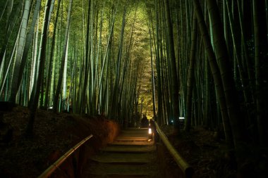 People visit Bamboo grove lit at night in Kodaiji temple, Kyoto, Japan. Famous travel destination especially for fall illumination light up in Kansai. clipart