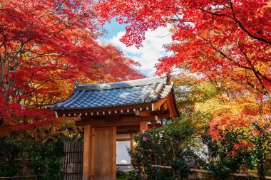 Arashiyama, Kyoto, Japonya 'da sonbahar bahçesine karşı ahşap kapı. Sonbahar mevsiminde Kyoto 'nun batısındaki ünlü seyahat merkezi..
