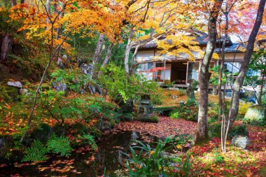 Jojakkoji Tapınağı, Arashiyama, Kyoto, Japonya 'da güzel bir sonbahar bahçesi, gölet ve bina. Sonbahar mevsiminde Kyoto 'nun batısındaki ünlü seyahat merkezi..