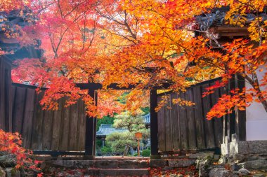 Nisonin Tapınağı, Arashiyama, Kyoto, Japonya 'da sonbaharda renkli akçaağaç yapraklı ahşap kapı giriş simgesi. Sonbahar mevsiminde Kansai 'nin turist gezisi için ünlü bir tatil yeri..