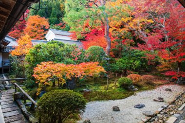 Nisonin Tapınağı mimarisi Arashiyama, Kyoto, Japonya 'da sonbahar yapraklı sonbahar bahçesi. Sonbahar mevsiminde Kansai 'nin turist gezisi için ünlü bir tatil yeri..