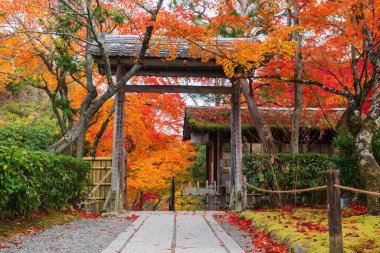 Adashino Nenbutsuji tapınağının renkli sonbahar akçaağaç yapraklı giriş kapısı, Arashiyama, Kyoto, Japonya. Sonbahar mevsiminde Kansai 'nin turist gezisi için ünlü bir tatil yeri..