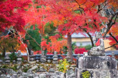 Akçaağaç yapraklı Buda heykeli, Adashino Nenbutsuji tapınağı, Arashiyama, Kyoto, Japonya. Sonbahar mevsiminde Kansai 'nin turist gezisi için ünlü bir tatil yeri..