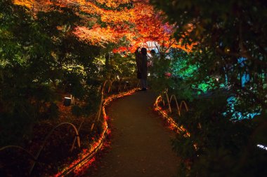 Silhouette couple in kimono and yukata enjoy autumn night illumination at Hogonin temple garden, Arashiyama, Kyoto, Japan. Travel destination for tourist sightseeing of Kansai in fall. clipart