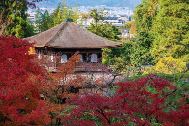 Japonya 'nın Kyoto kentinde, renkli sonbahar yapraklı Ginkakuji Tapınağı' nın gümüş Pavilyonu. Sonbahar mevsiminde Kansai 'yi gezmek için ünlü bir gezi yeri..