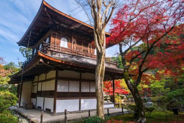 Japonya, Kyoto 'da mavi gökyüzüne karşı renkli sonbahar bahçesi olan Ginkakuji Tapınağı' nın ahşap gümüş köşkü. Sonbahar mevsiminde Kansai 'yi gezmek için turistik bir yer..