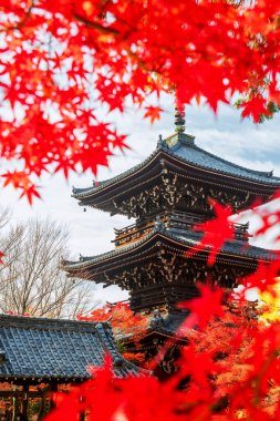 Japonya, Kyoto 'daki Shinnyodo Tapınağı' nda kırmızı akçaağaç yapraklı tahta bir manzara. Sonbahar mevsiminde Kansai 'yi gezmek için ünlü bir tatil beldesi..