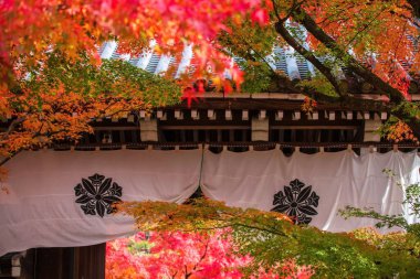Eikando tapınağındaki güzel renkli akçaağaç yaprakları ya da Japonya 'nın Kyoto kentinde sonbaharda Eikan-do Zenrinji türbesi girişi. Sonbahar mevsiminde Kansai 'yi gezmek için ünlü bir tatil beldesi..