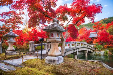 Japonya 'daki Kyoto' daki Eikando Zenrinji Tapınağı 'na gitmek için Hojo göleti boyunca uzanan Stone Köprüsü' nün etrafındaki renkli sonbahar yaprakları. Sonbaharda Kansai 'yi gezmek için turistik bir yer..