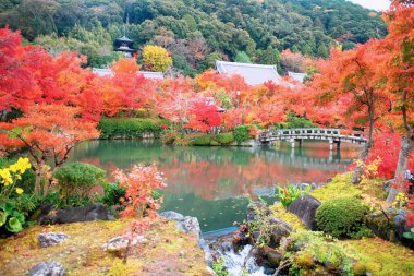 Hojo göleti boyunca uzanan gölet ve taş köprünün etrafındaki renkli kırmızı akçaağaç yaprakları ve sonbaharda Eikando Zenrinji Tapınağı, Kyoto, Japonya 'daki Eikando Zenrinji Manzarası. Sonbaharda Kansai' yi gezmek için turizm beldesi..