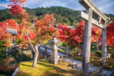 Eikan-do bahçesinin renkli sonbahar yaprakları ya da Japonya 'nın Kyoto kentindeki Eikando Zenrinji Tapınağı' nın Torii kapısı ve köprüsü. Sonbaharda Kansai 'yi gezmek için ünlü bir tatil beldesi..