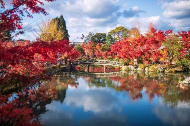 Hojo göleti boyunca uzanan taş köprü, Japonya 'nın Kyoto kentinde sonbaharda Eikando Zenrinji Tapınağı' ndaki bulut ve akçaağaç yapraklarını yansıtır. Sonbaharda Kansai 'yi gezmek için turistik bir yer..