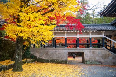 Japon kadın sarı ginkgo ve kırmızı akçaağaç yaprakları ile Nanzenji sonbahar bahçesinde ya da Nanzen-ji Tapınağı, Kyoto, Japonya 'da tünelden geçer. Sonbaharda Kansai 'yi gezmek için ünlü bir tatil beldesi.