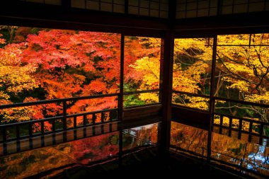Rurikoin Tapınağı üst kat iç mimarisi Aralık ayında güzel bir sonbahar akçaağaç yaprağı rengi ile, Kyoto, Japonya. Sonbahar sezonunda Kansai 'yi gezmek için ünlü bir tatil beldesi..