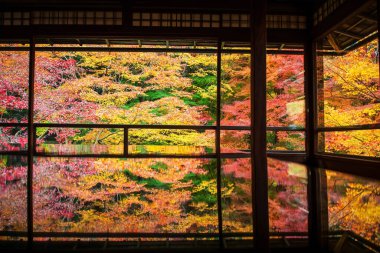Rurikoin Tapınağı, Kyoto, Japonya 'nın ahşap masasına yansıyan renkli sonbahar Japon yeşillik bahçesi manzarası. Sonbahar sezonunda Kansai 'yi gezmek için ünlü bir tatil beldesi..
