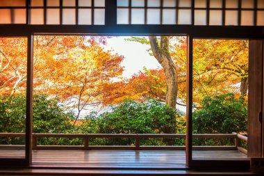 Sonbahar akçaağaç yaprakları Japonya 'nın Kyoto şehrinin üst katındaki Rurikoin Tapınağı ahşap avlusundan görünür. Sonbahar sezonunda Kansai 'yi gezmek için ünlü bir tatil beldesi..