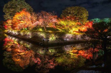 Renkli akçaağaç yaprağı tünel ışığı Japonya 'nın Kyoto kentindeki Toji Tapınağı bahçesindeki gölette ufuk çizgisi yansıması ile parlıyor. Sonbahar aydınlanması için Kansai 'yi gezmek için ünlü bir tatil beldesi..