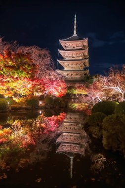 Toji 5 katlı Pagoda ve Akçaağaç yapraklarının dikey görüntüsü gece ufuk çizgisi yansıması ile gölün kenarında parlıyor, Kyoto, Japonya. Sonbahar aydınlanması için Kansai 'yi turistik geziler için seyahat noktası.