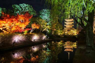 Renkli sonbahar ağacı tüneli ve Toji 5 katlı pagoda gölet boyunca gece ufuk çizgisi yansıması ile aydınlanır, Kyoto, Japonya. Sonbahar aydınlanması için Kansai 'yi gezmek için ünlü bir tatil beldesi..