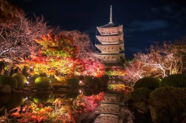 Toji 5 katlı pagoda ve renkli sonbahar yapraklı akçaağaç tünel ışıkları geceleyin Japonya 'daki Kyoto gölüne yansıyor. Sonbahar aydınlanması için Kansai 'yi gezmek için ünlü bir tatil beldesi..
