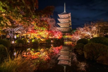 Toji Tapınağı 5 katlı pagoda ve sonbahar yapraklı akçaağaç rengi Japonya, Kyoto 'daki gölette ufuk çizgisi değişimiyle parlıyor. Sonbahar aydınlanması için Kansai 'yi gezmek için ünlü bir tatil beldesi..
