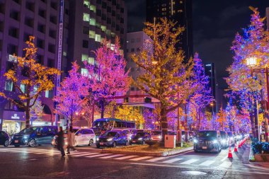 Osaka şehri geceleri Japonya 'nın Kansai şehrindeki Midosuji caddesindeki ağaçların üzerinde renkli ışıklar saçar. Yılbaşını ve 2025 yılını kutlamak üzere Aralık ayında düzenlenen aydınlanma festivali.