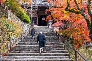 Budist Keşiş, Hasedera Tapınağı 'nın renkli sonbahar akçaağaç yapraklı merdivenlerini Nara, Japonya' da çıkıyor. Aralık ayında Kansai 'de turistler için ünlü bir tatil beldesi..